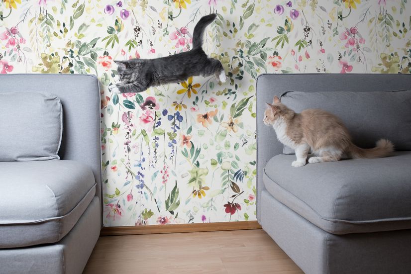 Watercolor Wildflower Wallpaper Mural
