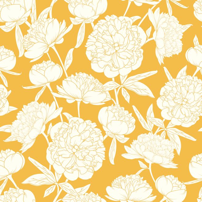 Drawing Peony Floral Art Wallpaper Mural
