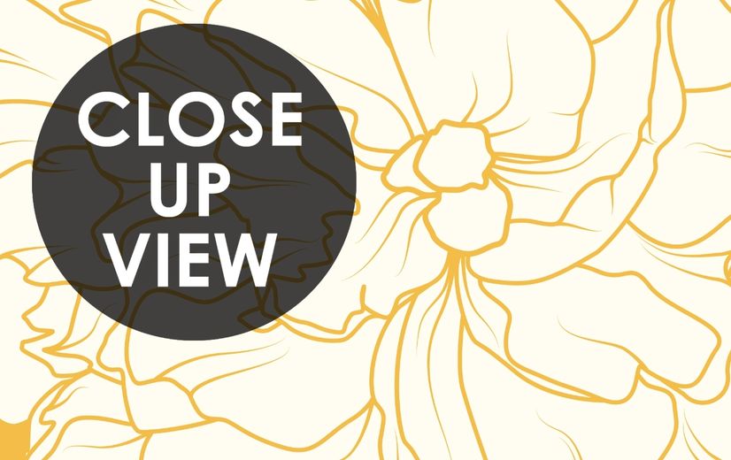 Drawing Peony Floral Art Wallpaper Mural