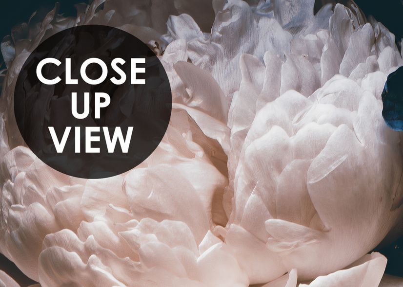 Dark Floral Peony Bouquet Wallpaper Mural