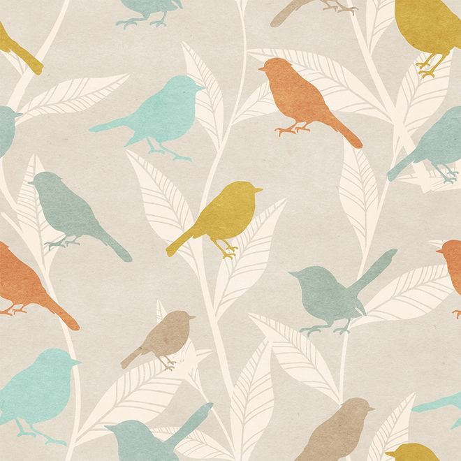 Colorful Europian Birds Wallpaper Mural